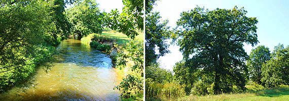 Friedhof Eula, Bushaltestelle